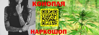 мет Камышлов