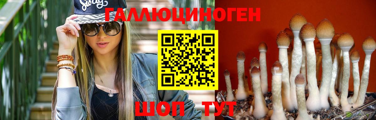 Галлюциногенные грибы GOLDEN TEACHER  Вход с VPN  Красноуфимск  Галлюциногенные грибы Cubensis 
